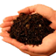 sri lanka coco peat, cocos plus unwashed raw coco peat Potting soil in index page